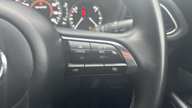 Mazda CX-30 2.5 e-Skyactiv G MHEV [140] Homura 5dr Petrol Hatchback